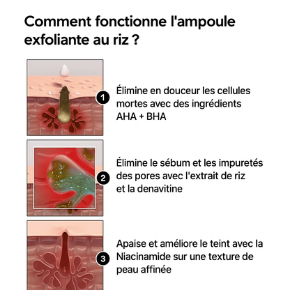 Pack Duo Dr. Melaxin Peel Shot – Ampoule Exfoliante au Riz Blanc et Riz complet